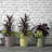 Madison Indoor/Outdoor Modern Round Planter-387224087-309931512