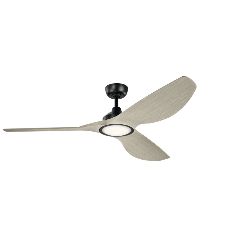 Anston 65cm Ceiling Fan with LED Lights