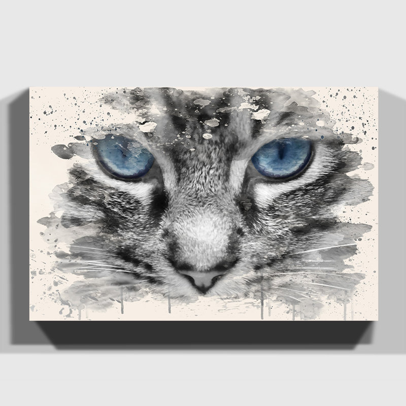 Cat Eyes - Wrapped Canvas, 35cm H x 50cm W