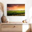 Alvord Vineyard Sunset Horizon-107922910