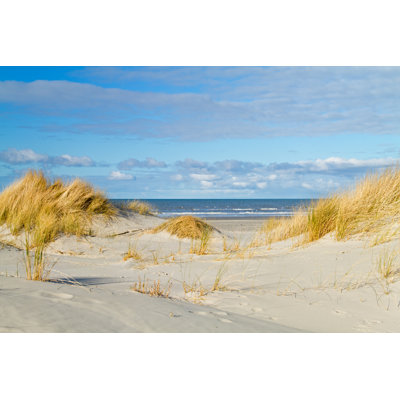 «Beach Grass on Dunes» par Staras - Photographie sur toile tendue