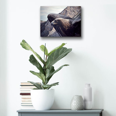 Millwood Pines 'Golden Eagle 2' by Ron Parker, Acrylic Glass Wall Art