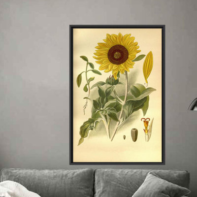 Print on Canvas