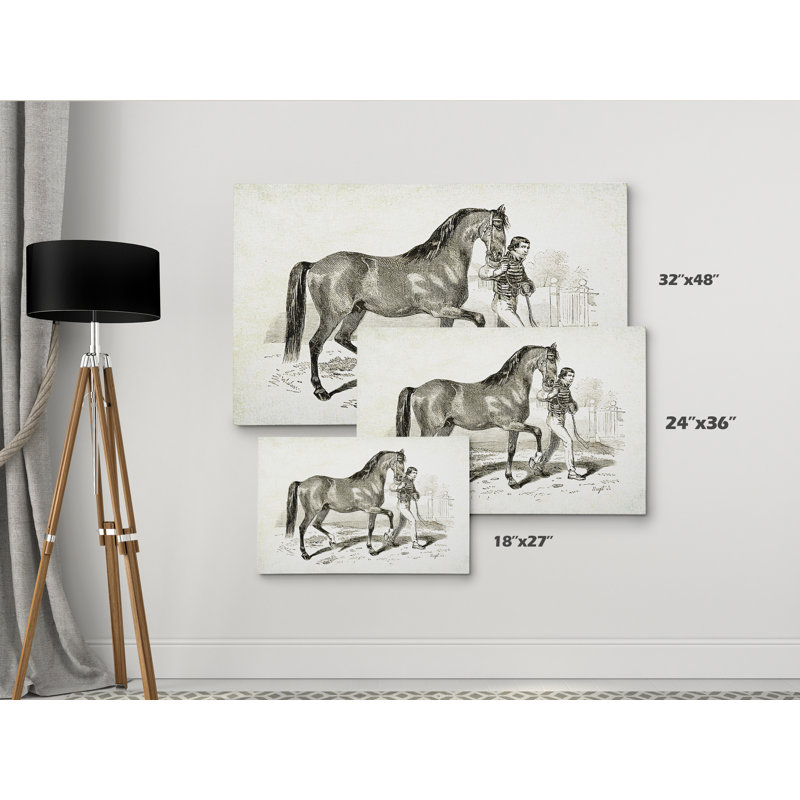 « équin assiette xxi », impression, H 18 po x l 27 po x P 1,5 po, Pas de tapis, Toile tendue