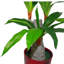 73cm Faux Plant in Pot Liner