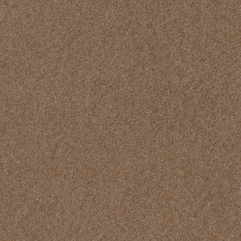 Costa Upholstered Arm Chair