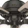 44" Donegan 5 - Blade Standard Ceiling Fan with Pull Chain and Light Kit Included