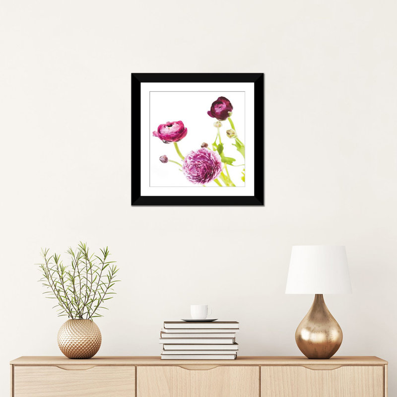 « spring renoncule ii », impression sur toile tendue, H 16 po x l 16 po x P 1 po, Papier d'art encadré noir, Blanc