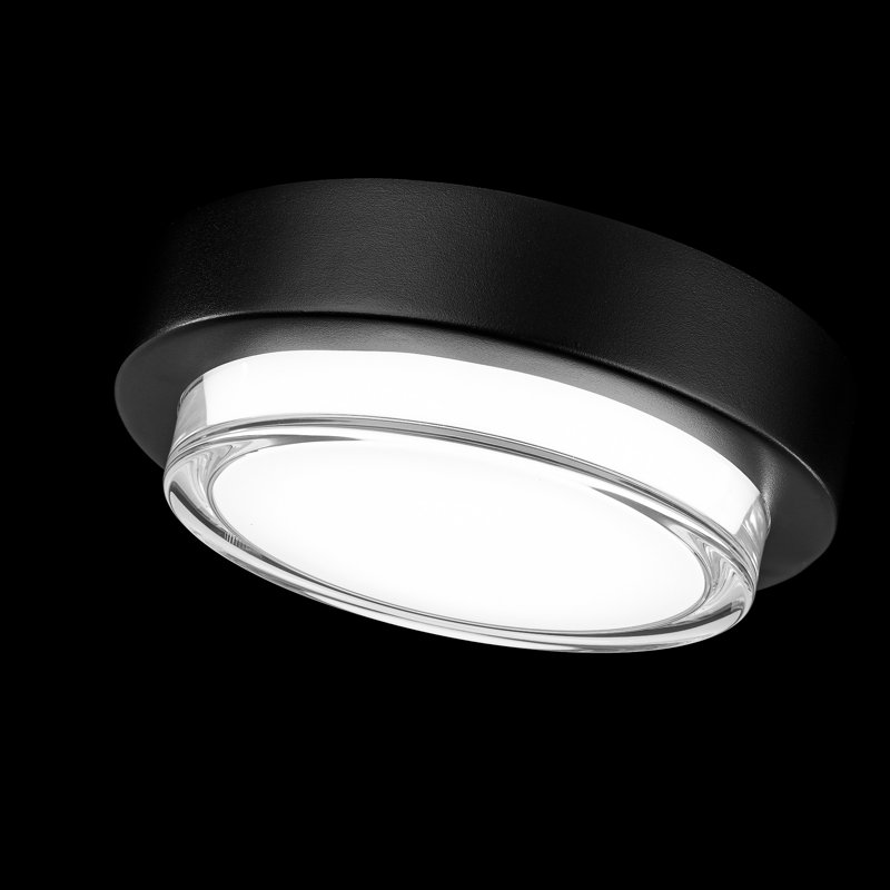 Zenith Indoor/Outdoor 7.75" Dimmable LED Flush Mount, Black, 3000K