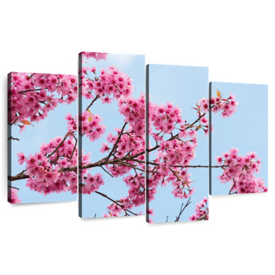 Harnek Himalayan Sakura