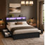 Lit Livia Queen avec 4 tiroirs et tête de lit ouverte avec rangement, lampe DEL réglable et station de recharge, sommier non requis, gris-960648537-975702965