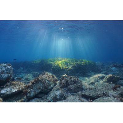 Rayons de soleil sous l'eau