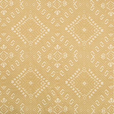 Explorer Penang Fabric