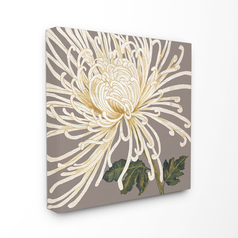 « white chrysanthemum », impression, H 24 po x l 24 po, Toile tendue