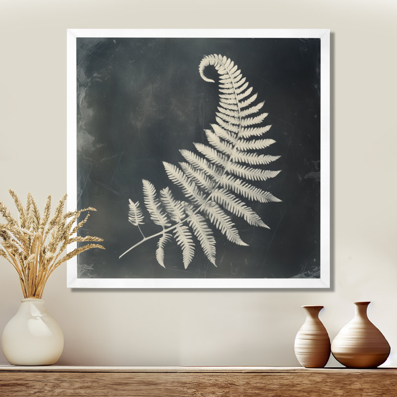 Fougère à l'ombre argentée - Photogramme botanique encadré, H 30 po x l 30 po, White Picture Framed