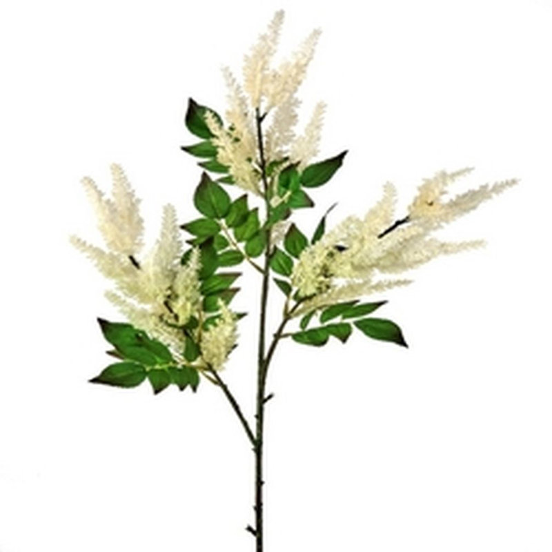 Astilbe Arrangement, Cream