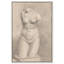 Demi-statue nue sur toile, Art classique par Art Remedy-107454924-107454937