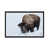 Black Framed is unavailable