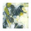 "Citron Synergy II" sur toile-1475250882