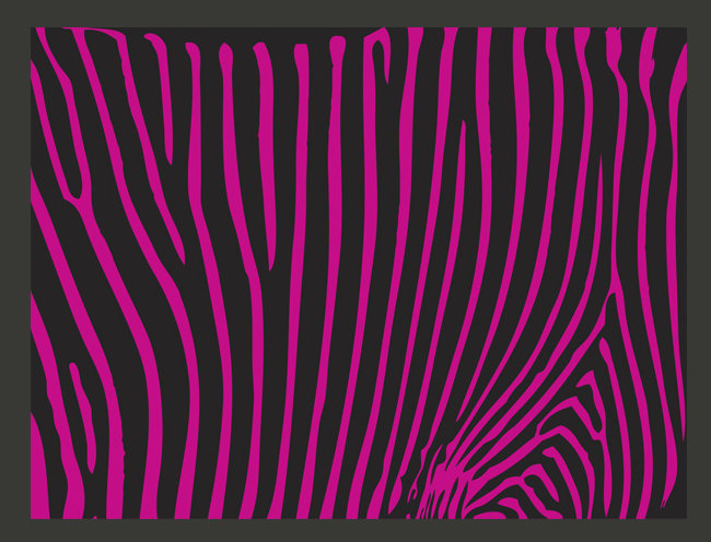 Zebra Pattern 309cm x 400cm Wallpaper, Purple