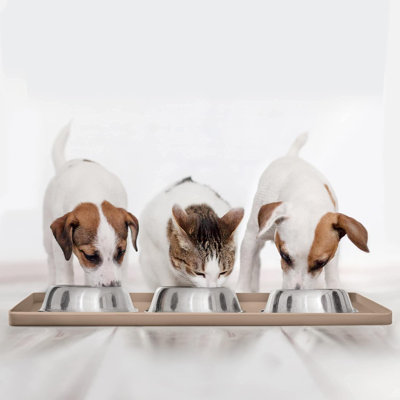 Bol pour animaux de compagnie antidérapant