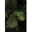 Artificial Christmas Tree-35927951