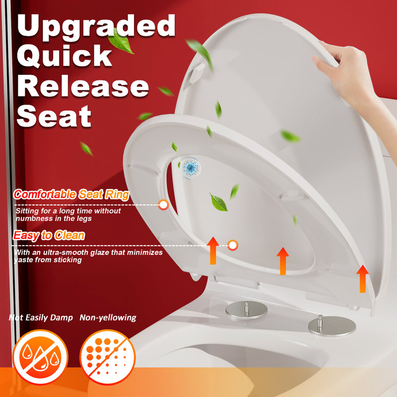 1.28 GPF Tornado Flush One-Piece Elongated Toilet With 17" ADA Comfort Height Seat, Soft-Close Seat, And 1000G MAP Score In Gloss White