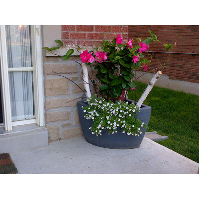 Corner Plastic Pot Planter