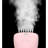Quicksteam Handheld Garment Steamer With Dual Steam Settings, Pink-60318123