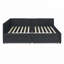 Velvet Upholstered Tufted Bed Frame with Two Drawers-1852497929