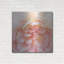Heavenly Rose par Rebecca Swanson-317897865
