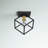 Democritus Flush Mount-2037707329