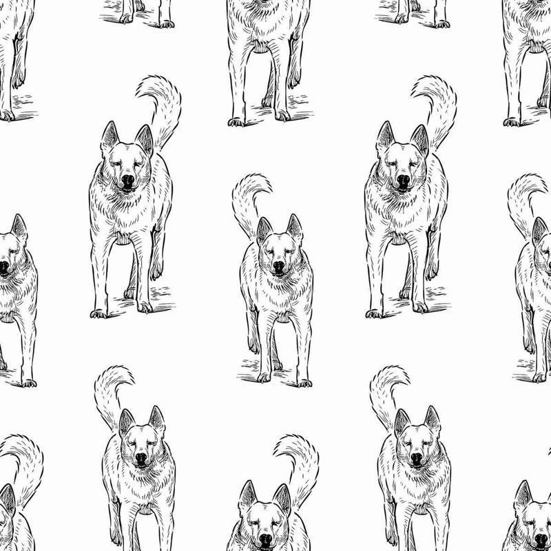 Panneau de papier peint adhésif pour chien, L 126 po x l 24 po