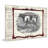 " Cow Framed " by Marmont Hill-16158456