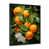Black Picture Frame selected