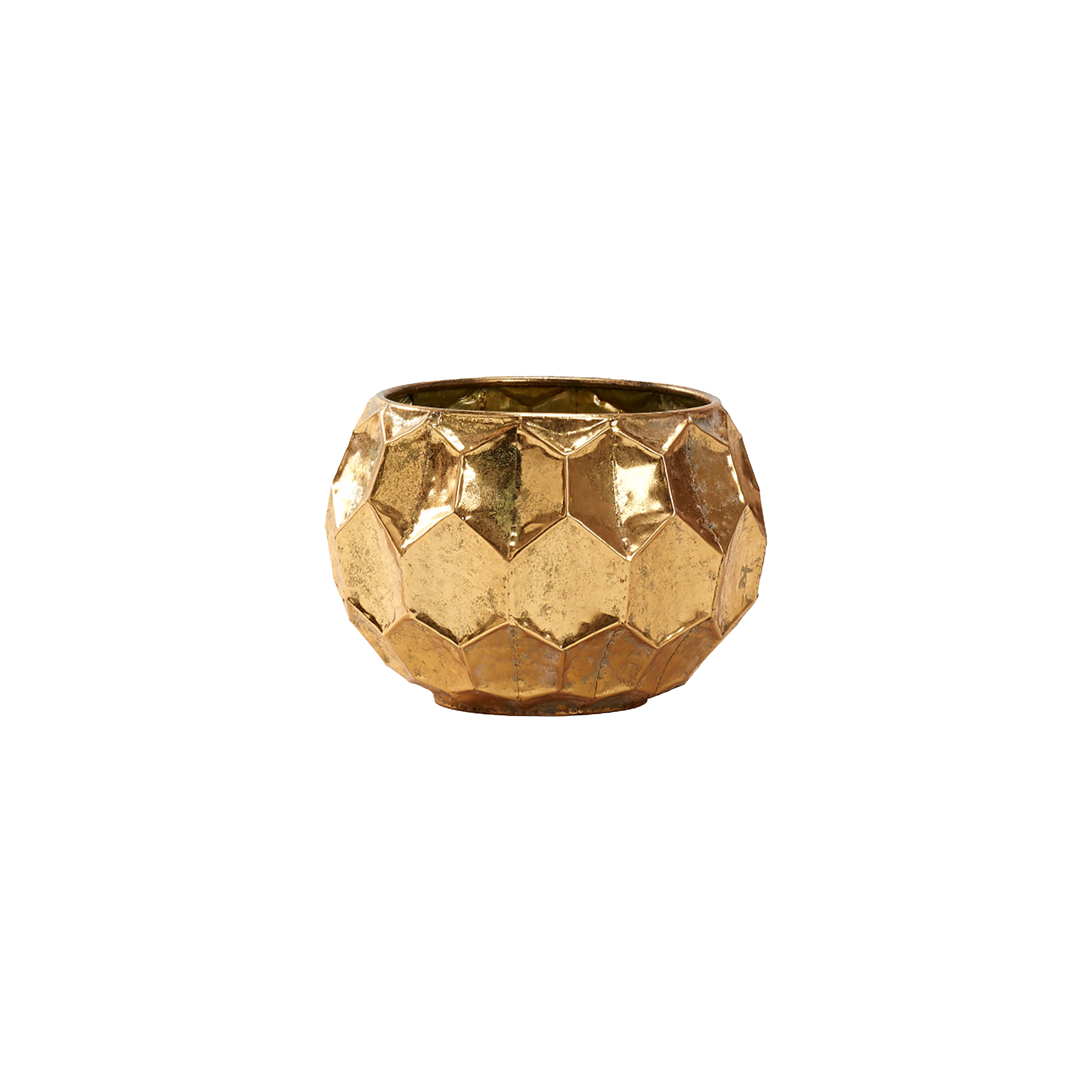 Metal Turtle Shell Mercer41 Small Gold Metal Turtle Shell Bowl | Wayfair