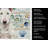 White Bull Terrier Coastal Sea Glass Kitchen Towel-871463494