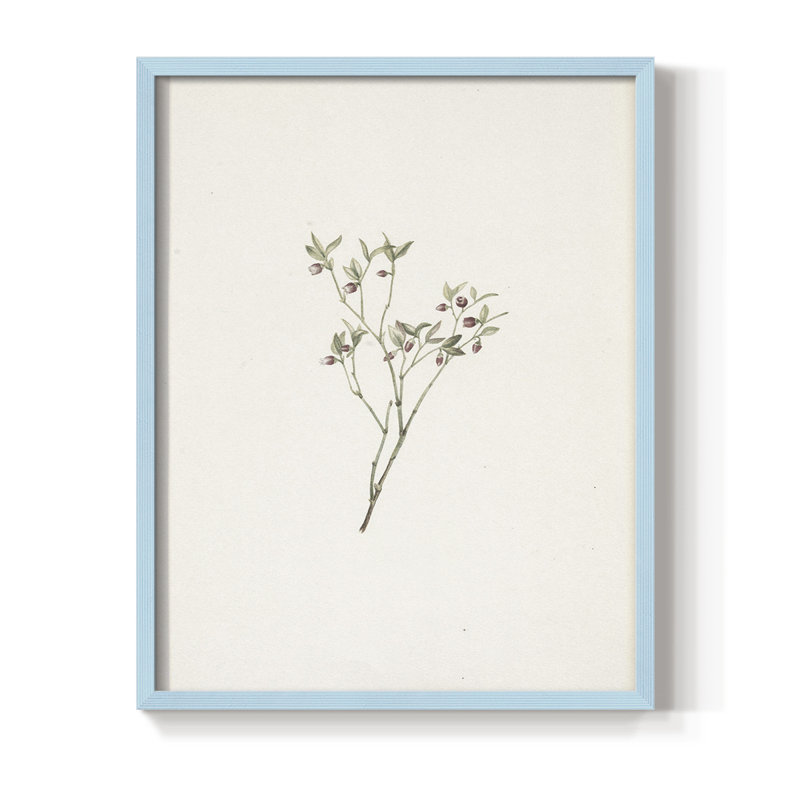Reproduction florale rétro CLxxxi encadrée - bois massif, H 21 po x l 17 po, Bleu