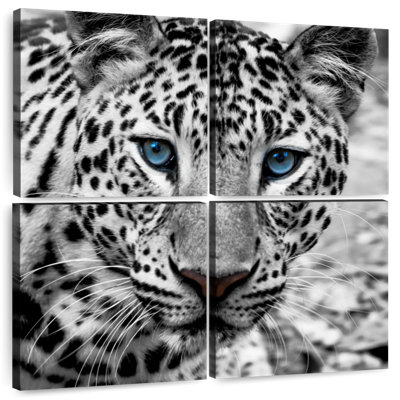 Leopard Brampt