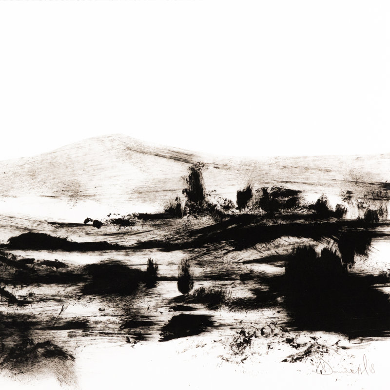 Mono Land Print by Dan Hobday, 40" H x 60" W x 2.5" D