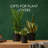 3 Pack Black Plastic Plant Pots, 5mm Thick Indoor Outdoor Planters with Drainage Holes, 5.9/6.6/7.8 Inch Flower Garden Pots for Patio & Home Decor-405806292