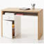 Globo Writing Desk