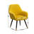Tuchico Contemporary Upholstered Accent Chair-108942058