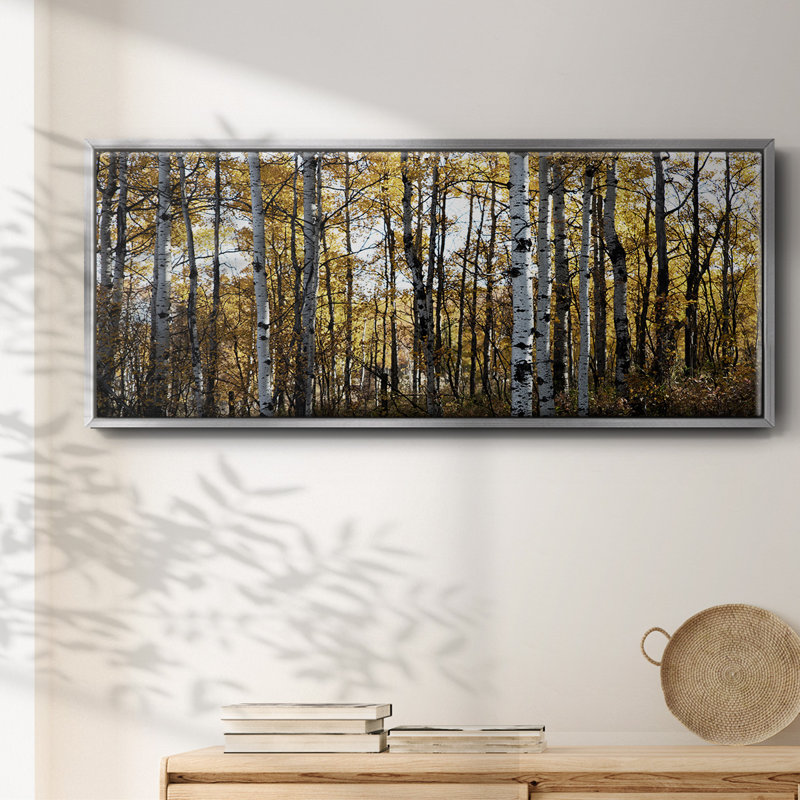 Sunny Grove- Framed Canvas