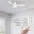 Eirena 45'' Ceiling Fan with LED Lights