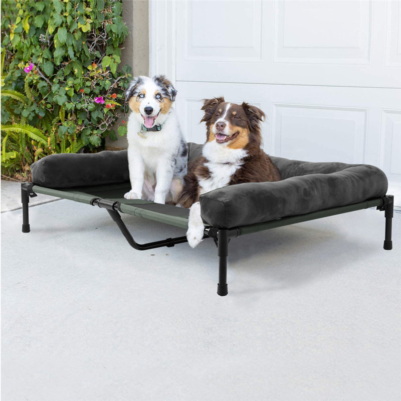 Orthopedic Pet Bed, Extra Large (11"H x 39" W x 35.5" D) , Gray