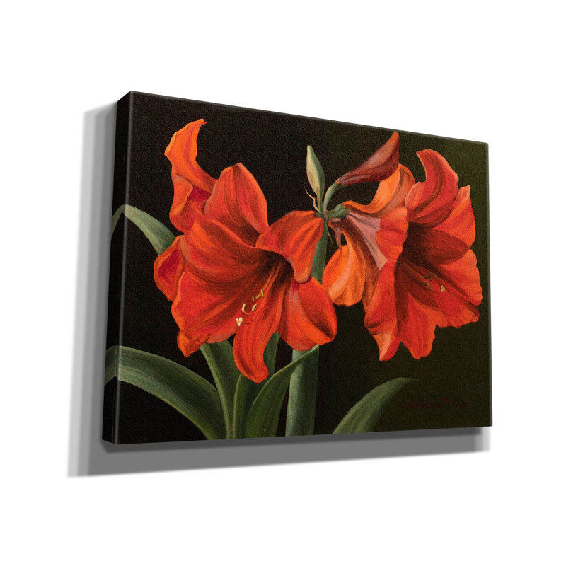 Toile rouge «Amaryllis» par Christopher Pierce, Red Barrel Studio®, H 12 po x l 16 po x P 0,75 po