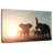 Brampt Wild Elephants-107711065