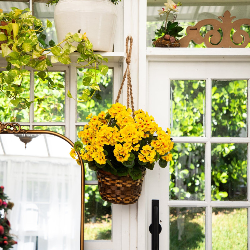 Geranium panier suspendu résistant aux rayons UV
