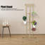 Plant Stand-1119062063